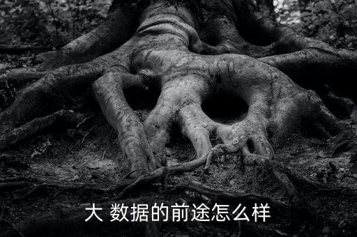 大 數(shù)據(jù)的前途怎么樣