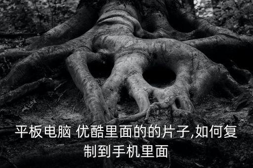優(yōu)酷 泄漏數(shù)據(jù) 下載,優(yōu)酷數(shù)據(jù)下載電視劇怎么開啟