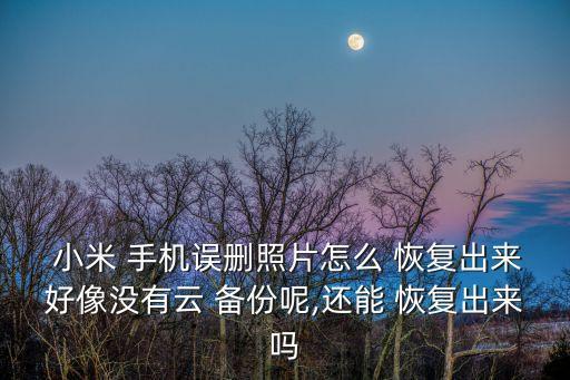  小米 手機誤刪照片怎么 恢復(fù)出來好像沒有云 備份呢,還能 恢復(fù)出來嗎