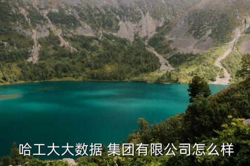  哈工大大數(shù)據(jù) 集團(tuán)有限公司怎么樣