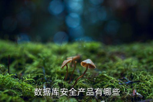 最安全的數(shù)據(jù)庫(kù),哪個(gè)數(shù)據(jù)庫(kù)鏈接最安全