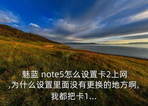  魅藍(lán) note5怎么設(shè)置卡2上網(wǎng),為什么設(shè)置里面沒有更換的地方啊,我都把卡1...