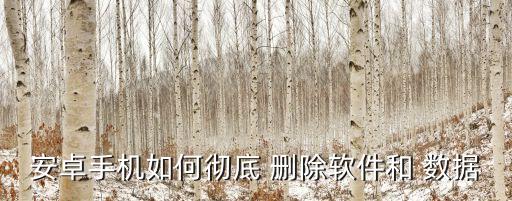 安卓手機(jī)如何徹底 刪除軟件和 數(shù)據(jù)