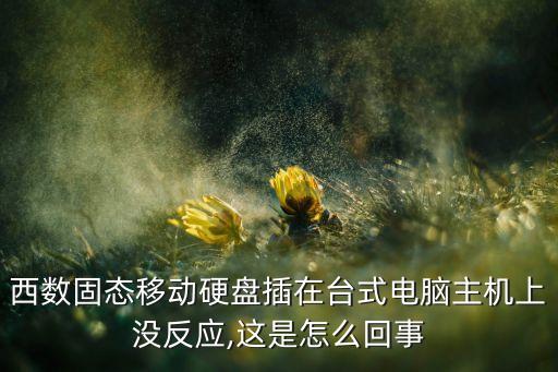 西數(shù)固態(tài)移動硬盤插在臺式電腦主機上沒反應,這是怎么回事