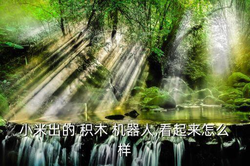 小米出的 積木 機器人,看起來怎么樣