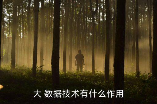大 數(shù)據(jù)技術(shù)有什么作用