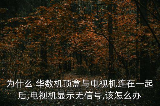 為什么 華數(shù)機(jī)頂盒與電視機(jī)連在一起后,電視機(jī)顯示無信號,該怎么辦