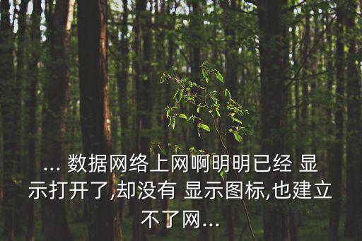 ... 數(shù)據(jù)網(wǎng)絡(luò)上網(wǎng)啊明明已經(jīng) 顯示打開了,卻沒有 顯示圖標(biāo),也建立不了網(wǎng)...