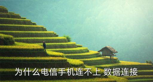 為什么電信手機連不上 數(shù)據(jù)連接