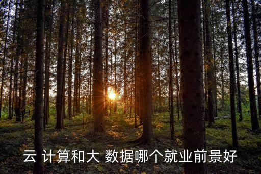 云 計(jì)算和大 數(shù)據(jù)哪個(gè)就業(yè)前景好