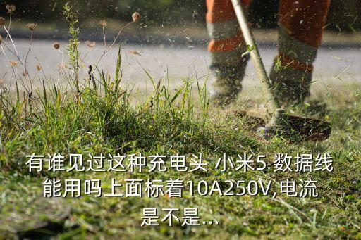 有誰見過這種充電頭 小米5 數(shù)據(jù)線能用嗎上面標(biāo)著10A250V,電流是不是...