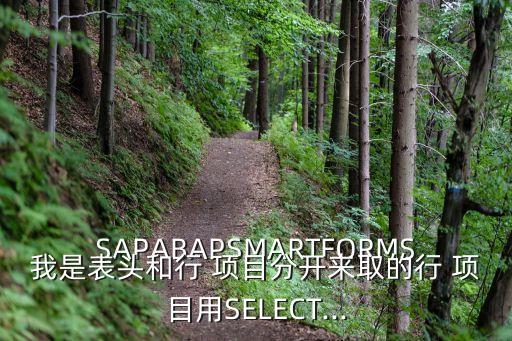 SAPABAPSMARTFORMS我是表頭和行 項(xiàng)目分開來取的行 項(xiàng)目用SELECT...
