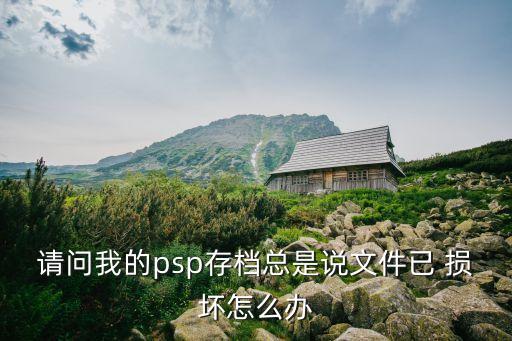 請問我的psp存檔總是說文件已 損壞怎么辦