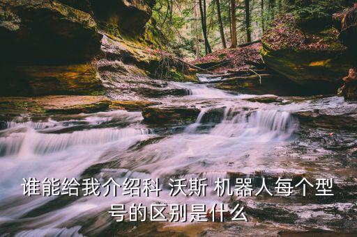 誰能給我介紹科 沃斯 機器人每個型號的區(qū)別是什么
