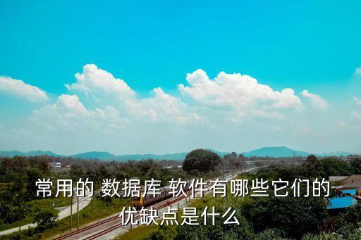  常用的 數(shù)據(jù)庫 軟件有哪些它們的優(yōu)缺點是什么