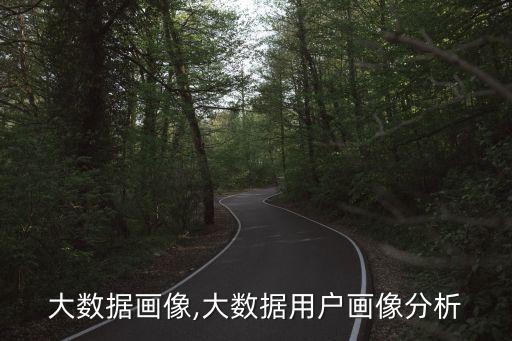 學(xué)生大數(shù)據(jù)畫(huà)像,大數(shù)據(jù)用戶畫(huà)像分析