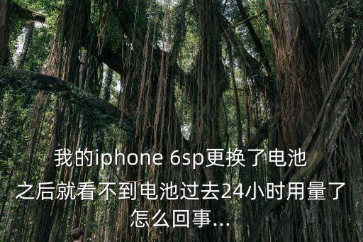 蘋果6sp不顯示數(shù)據(jù),如何把蘋果6sp的數(shù)據(jù)復(fù)制到蘋果11上