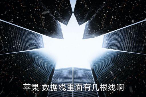  蘋果 數(shù)據(jù)線里面有幾根線啊