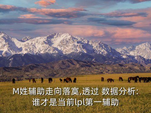 M姓輔助走向落寞,透過 數據分析:誰才是當前l(fā)pl第一輔助