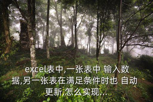 excel表中,一張表中 輸入數(shù)據(jù),另一張表在滿足條件時也 自動 更新,怎么實現(xiàn)...