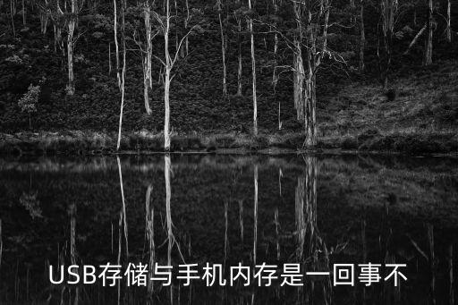 USB存儲與手機內(nèi)存是一回事不