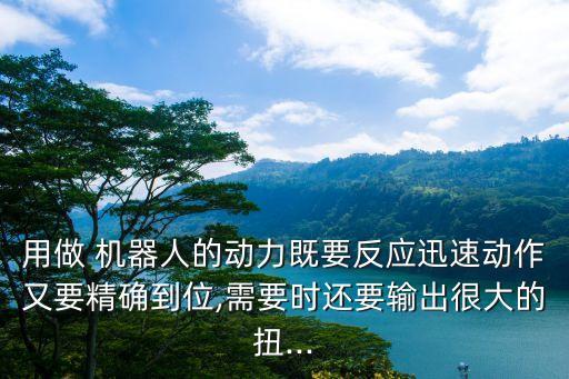機(jī)器人扭矩