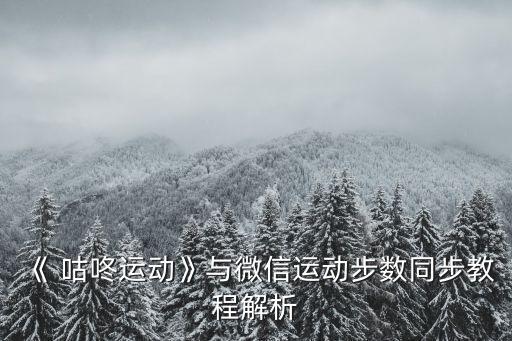 咕咚數(shù)據(jù)2017