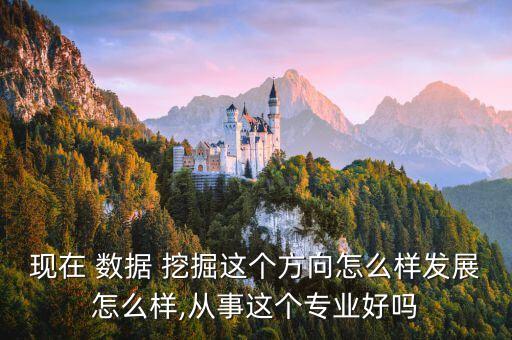 現(xiàn)在 數(shù)據(jù) 挖掘這個方向怎么樣發(fā)展怎么樣,從事這個專業(yè)好嗎