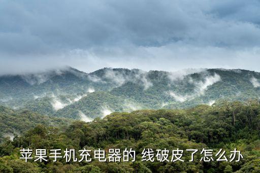 蘋果數(shù)據(jù)線破皮去哪換,蘋果電腦數(shù)據(jù)線破皮怎么辦