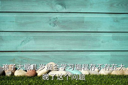 孩子大概幾歲適合學(xué)習(xí)編程存不存在太晚了這個(gè)問題