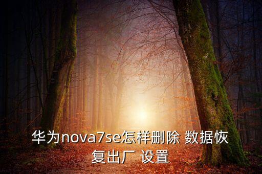 華為nova7se怎樣刪除 數(shù)據(jù)恢復(fù)出廠 設(shè)置