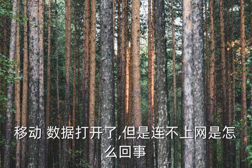 開數(shù)據(jù)為什么上不了網(wǎng)絡(luò),為什么開了數(shù)據(jù)還是卡