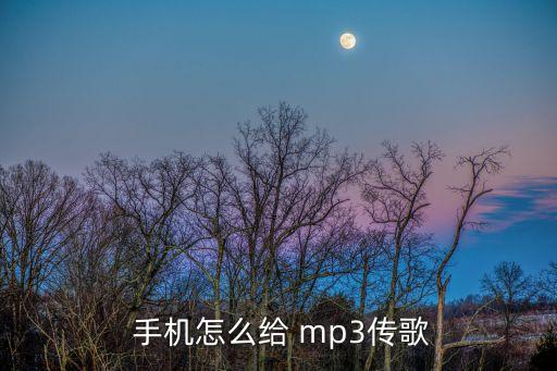 mp3的數(shù)據(jù)線可以連接手機(jī)嗎,用數(shù)據(jù)線連接手機(jī)和電腦怎么傳文件