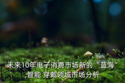未來10年電子消費市場新的“藍海”,智能 穿戴領域市場分析