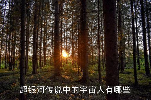 夏普安全機(jī)器人,夏普 電話機(jī)器人 字幕