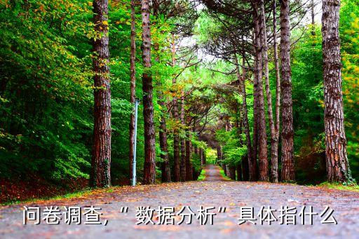 問卷調(diào)查,“ 數(shù)據(jù)分析”具體指什么