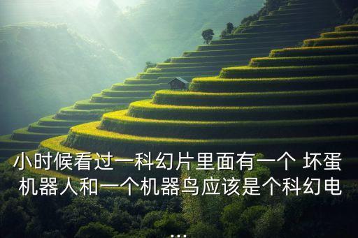打壞蛋的機(jī)器人照片,賽爾號壞蛋機(jī)器人名字