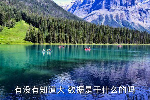 有沒有知道大 數(shù)據(jù)是干什么的嗎