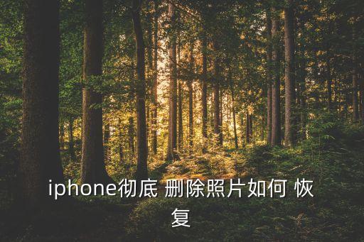 iphone徹底 刪除照片如何 恢復(fù)