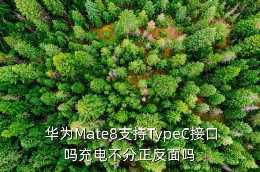  華為Mate8支持TypeC接口嗎充電不分正反面嗎