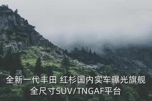 全新一代豐田 紅杉國(guó)內(nèi)實(shí)車(chē)曝光旗艦全尺寸SUV/TNGAF平臺(tái)