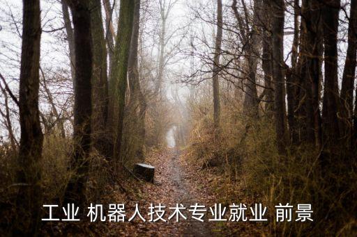 工業(yè) 機(jī)器人技術(shù)專業(yè)就業(yè) 前景
