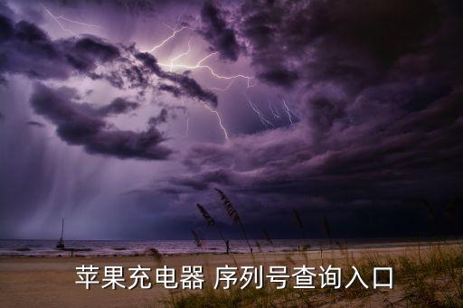  蘋果充電器 序列號查詢?nèi)肟? class=
