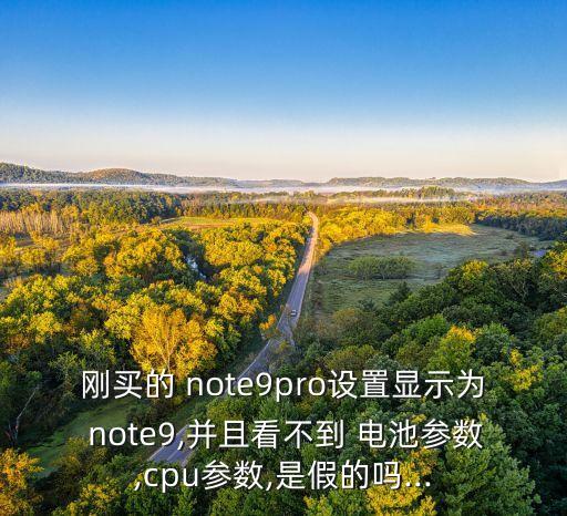 剛買的 note9pro設置顯示為 note9,并且看不到 電池參數(shù),cpu參數(shù),是假的嗎...