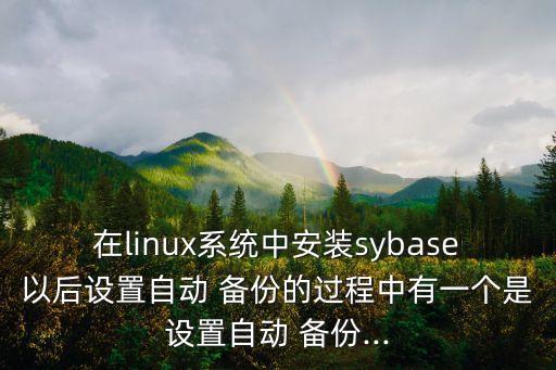 在linux系統(tǒng)中安裝sybase以后設(shè)置自動(dòng) 備份的過(guò)程中有一個(gè)是設(shè)置自動(dòng) 備份...