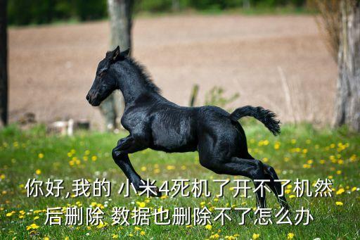 小米4 清理數(shù)據(jù)失敗,小米手機(jī)系統(tǒng)數(shù)據(jù)占用太多怎么清理
