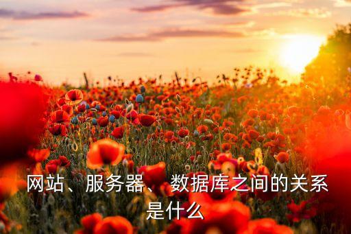  網(wǎng)站、服務(wù)器、 數(shù)據(jù)庫之間的關(guān)系是什么