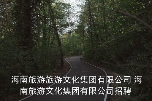  海南旅游旅游文化集團(tuán)有限公司 海南旅游文化集團(tuán)有限公司招聘