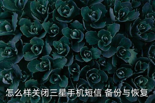 怎么樣關(guān)閉三星手機(jī)短信 備份與恢復(fù)
