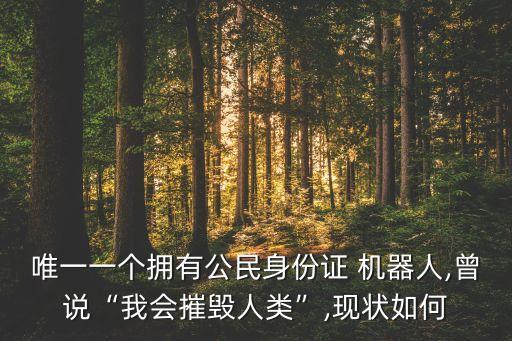 2017 機(jī)器人索菲亞,機(jī)器人索菲亞現(xiàn)在怎么樣了